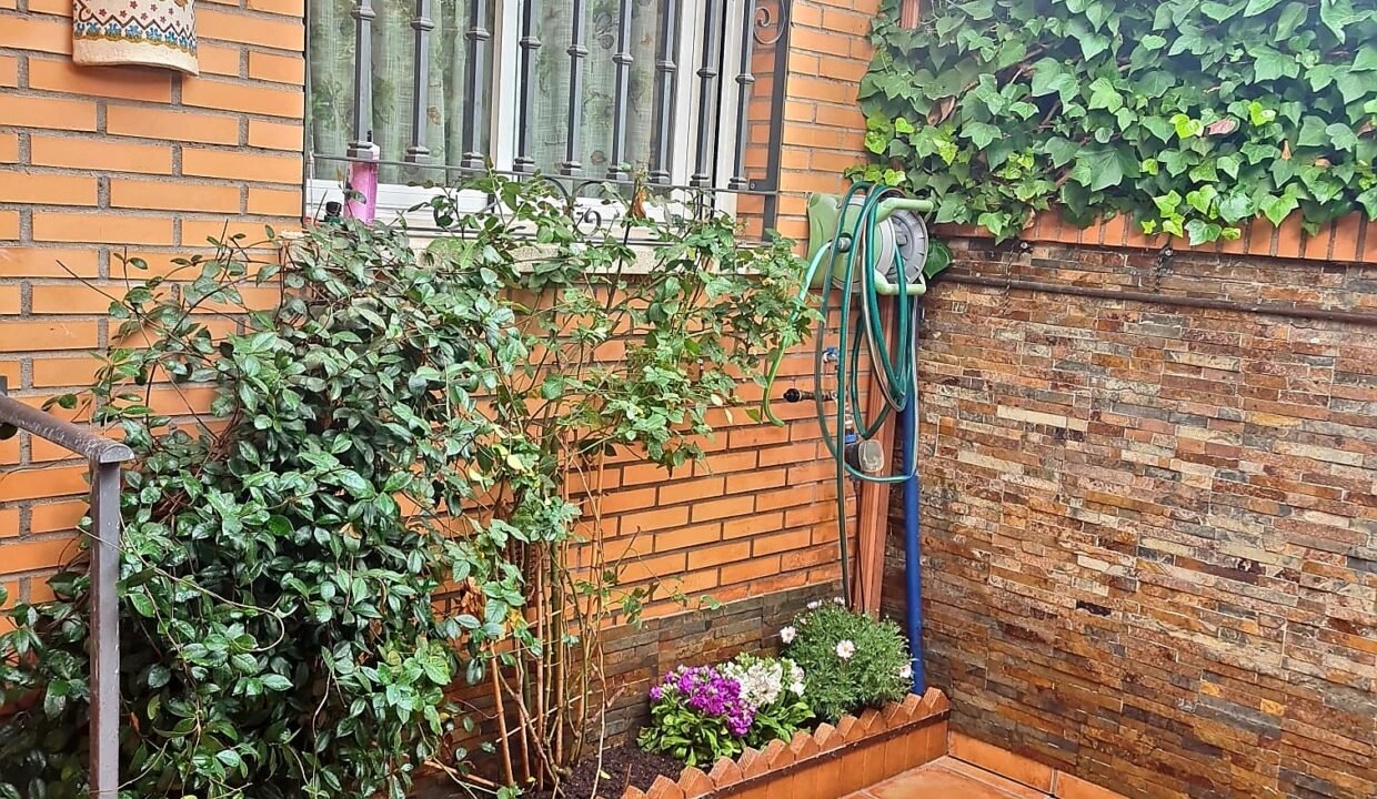 me chupa un huevo (2)