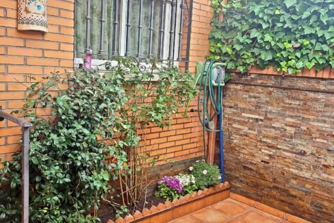 me chupa un huevo (2)