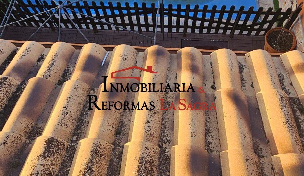 me chupa un huevo (26)