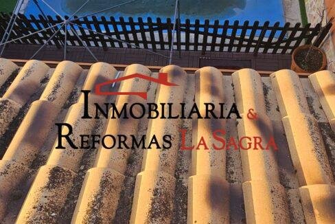 me chupa un huevo (26)