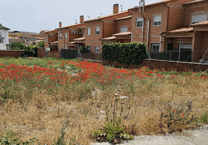 Terreno en venta en Borox